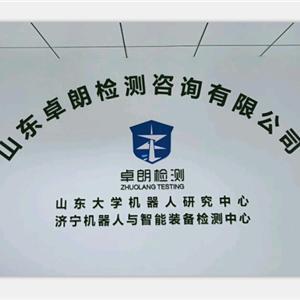 山東卓朗檢測咨詢 專業安全咨詢服務提供商